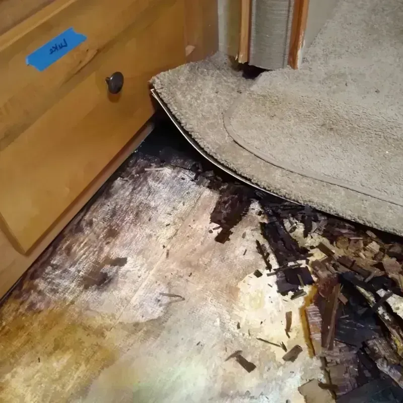 Best Wood Floor Water Damage Service in Albany County, WY